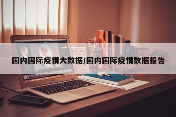 国内国际疫情大数据/国内国际疫情数据报告